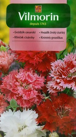 Neļķe ķīnas Imperialis  MIX 1 g Vilmorin